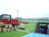 2012-06-16 013